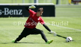 VfB Stuttgart Training
