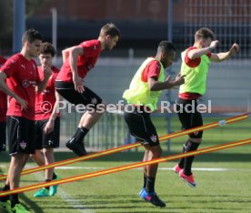 VfB Stuttgart Training