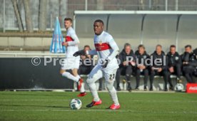 VfB Stuttgart - SG Dynamo Dresden