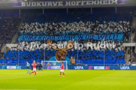 22.10.26 TSG 1899 Hoffenheim - Olympique Lyon