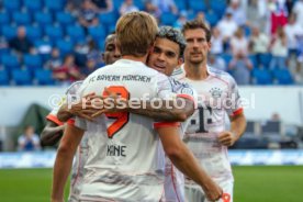 20.09.25 TSG 1899 Hoffenheim - FC Bayern M&uuml;nchen
