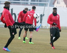 VfB Stuttgart Training