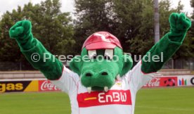VfB Stuttgart