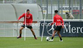 VfB Stuttgart Training