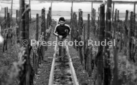 09.05.78 VfB Stuttgart Hansi M&uuml;ller Training Weinberge
