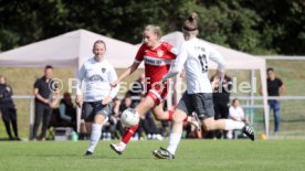 15.09.24 Frauen VfB Stuttgart - 1. FCC Hof