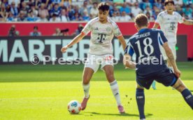 20.09.25 TSG 1899 Hoffenheim - FC Bayern M&uuml;nchen