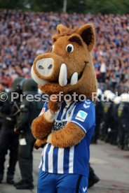 Karlsruher SC