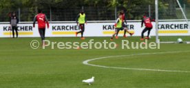 VfB Stuttgart Training