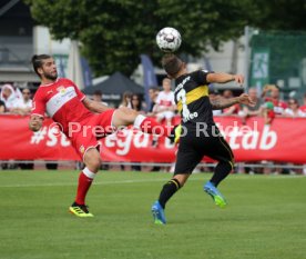 VfB Stuttgart Training