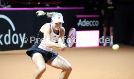 Tennis Fed Cup 2018 Deutschland - Tschechien