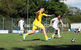 23.08.26 TSV Ph&ouml;nix Steinsfurt - SV Tiefenbach