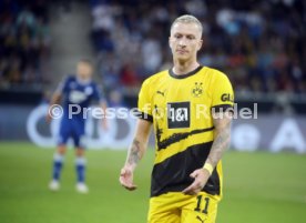 29.09.23 TSG 1899 Hoffenheim - Borussia Dortmund