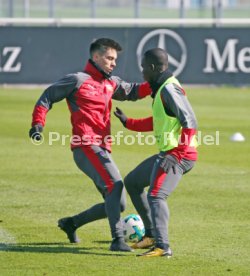 VfB Stuttgart Training