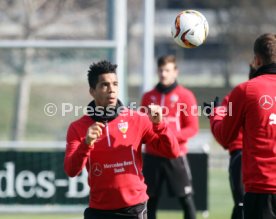 VfB Stuttgart Training