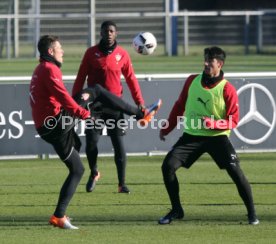 VfB Stuttgart Training