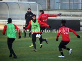 VfB Stuttgart Training