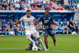 20.09.25 TSG 1899 Hoffenheim - FC Bayern M&uuml;nchen