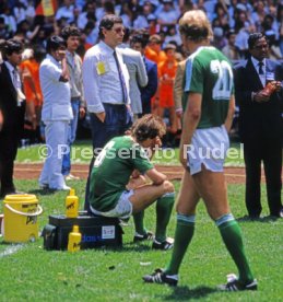 FIFA WM 1986