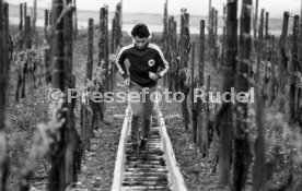 09.05.78 VfB Stuttgart Hansi M&uuml;ller Training Weinberge