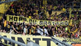 TSG 1899 Hoffenheim - Borussia Dortmund