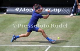 Tennis MercedesCup 2016 Stuttgart Weissenhof