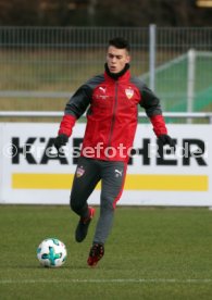 VfB Stuttgart Training