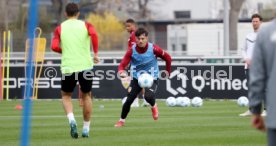 25.03.25 VfB Stuttgart Training