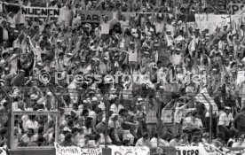 25.05.88 PSV Eindhoven - Benfica Lissabon