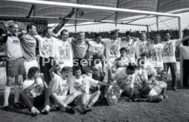 05.06.1993 VfB Stuttgart - SV Werder Bremen