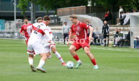 26.04.25 U19 VfB Stuttgart - U19 1. FC Köln