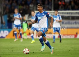 TSG 1899 Hoffenheim