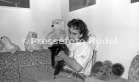 15.12.90 VfB Gaudino Katze Mini