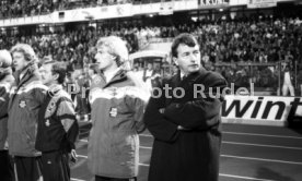 16.10.1991 Deutschland - Wales