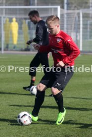 VfB Stuttgart Training