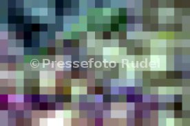 SC Freiburg - SV Werder Bremen