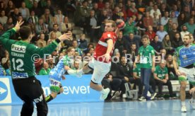 01.12.22 Frisch Auf G&ouml;ppingen - HSV Hamburg