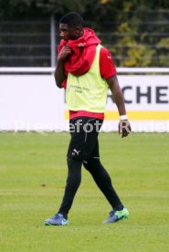 VfB Stuttgart Training