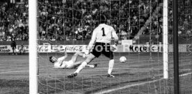 VfB Stuttgart - 1. FC K&ouml;ln