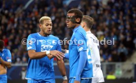 TSG 1899 Hoffenheim - Manchester City