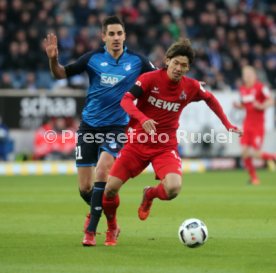TSG 1899 Hoffenheim - 1. FC K&ouml;ln