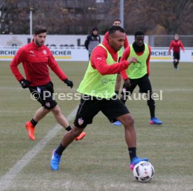 VfB Stuttgart Training