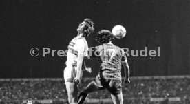 VfB Stuttgart - 1. FC K&ouml;ln