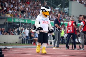 SSV Ulm 1846 - Eintracht Frankfurt