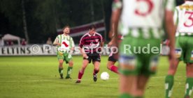 VfB Stuttgart - Rapid Wien