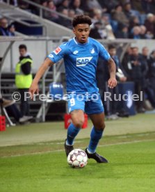 TSG 1899 Hoffenheim - Fortuna D&uuml;sseldorf