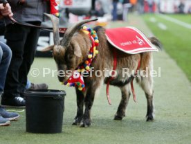 1. FC K&ouml;ln - VfB Stuttgart