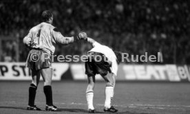 16.10.1991 Deutschland - Wales