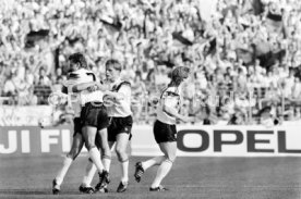 14.06.88 Deutschland - D&auml;nemark