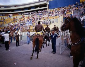 11.06.86 England - Polen